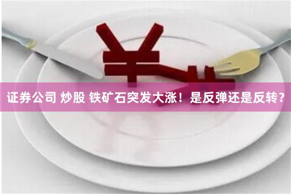 证券公司 炒股 铁矿石突发大涨！是反弹还是反转？