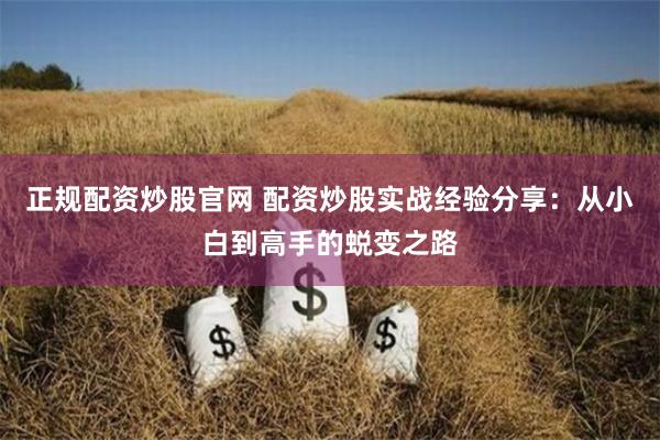 正规配资炒股官网 配资炒股实战经验分享：从小白到高手的蜕变之路