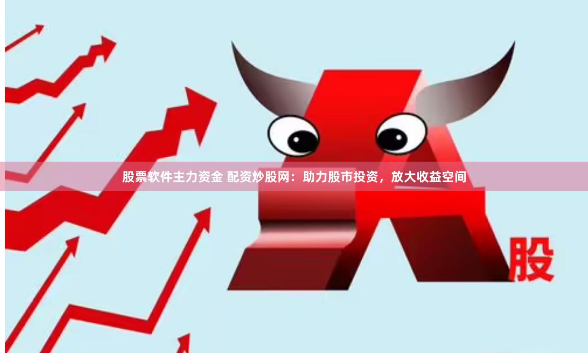 股票软件主力资金 配资炒股网：助力股市投资，放大收益空间